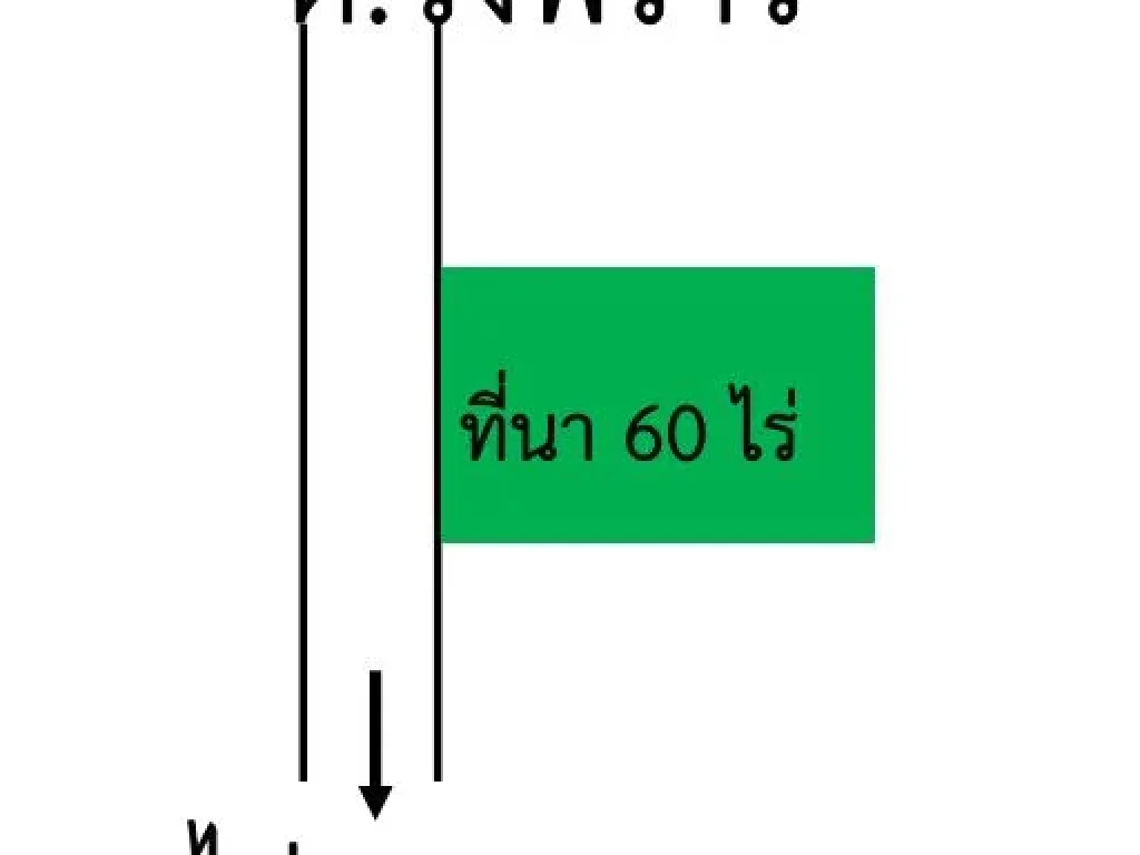 ขายที่นา 60 ไร่ ไร่ละ 900000 บาท หน้ากว้างติดถนนซุปเปอร์ 60 เมตร เกาะคา ฝั่งขาขึ้นลำปาง