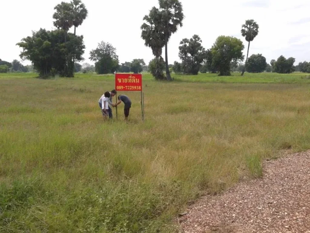 ขายที่ดินซอย สภย่อยบ้านทุ่ม ตแดงใหญ่ อเมือง จขอนแก่น