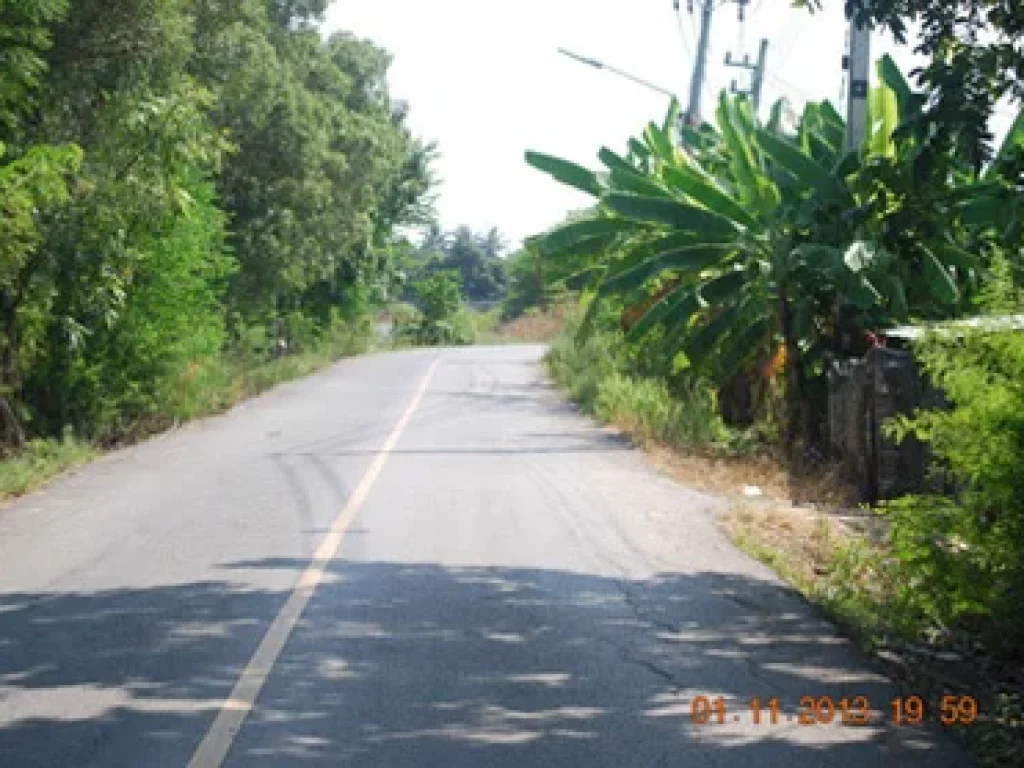 ที่ดินพร้อมสวนฝรั่งหน้าติดถนนเป็น100เมตรขึ้นไป