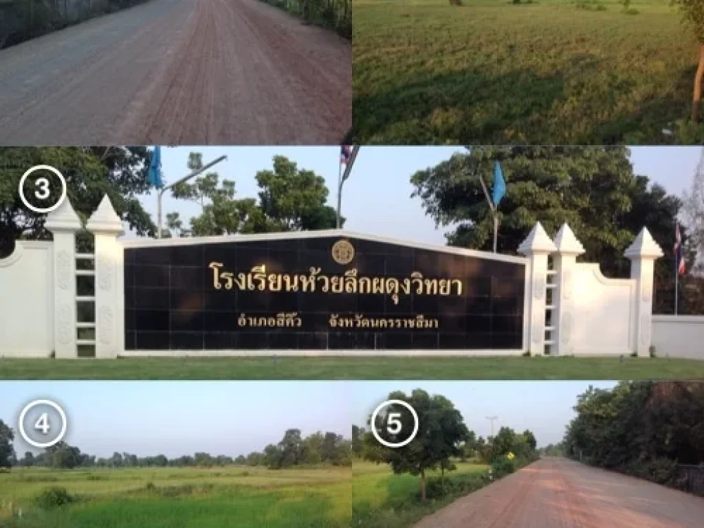 ขายที่ดินถนนสีคิ้ว-ชัยภูมิ201 16 ไร่