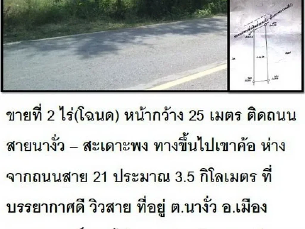 ขายที่ 2 ไร่โฉนดทางขึ้นไปเขาค้อ