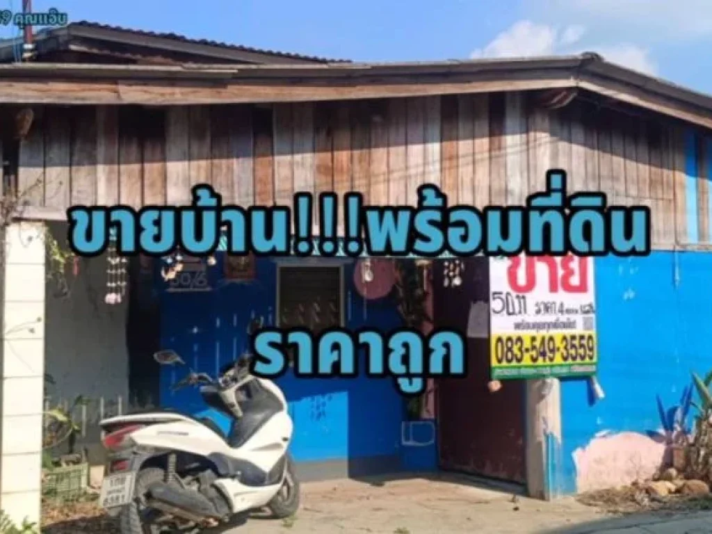 ขายบ้านเดี่ยว ชั้นเดียว ตนางบวช อเดิมบางนางบวช จสุพรรณบุรี