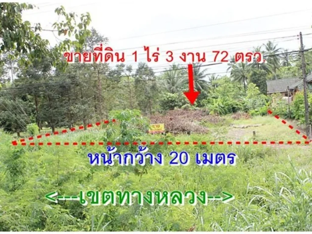 ที่ดินติดถนนเอเซีย 41 1-3-72 ไร่ ใกล้สี่แยกปฐมพร อยู่บนเนินน้ำไม่ท่วม