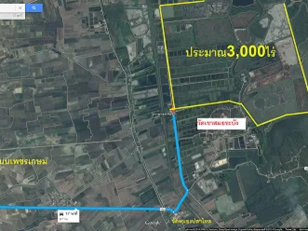 ที่ดิน3000ไร่ ตหนองปลาไหล จเพชรบุรีเป็นที่ลุ่มเหมาะปลูกปาล์มมีคลองธรรมชาติคลองชลประทานผ่นขายไร่ละ250ล้านบาท