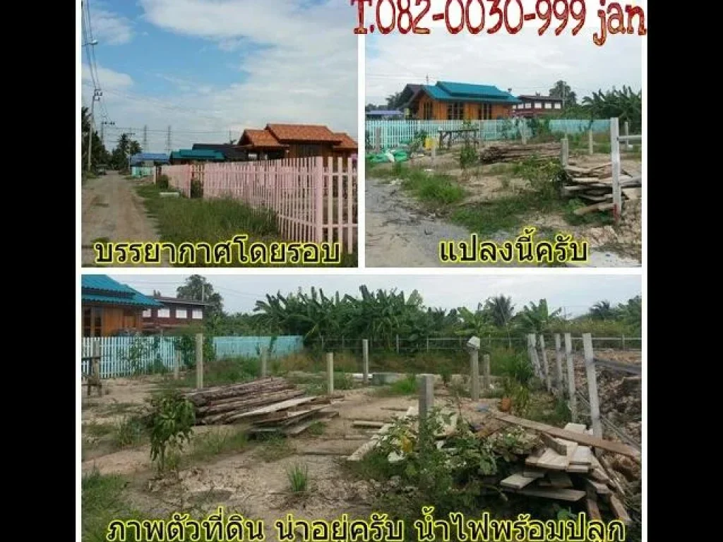 ขายถูกๆ เพียงแปลงเดี่ยวเท่านั้น 100 ตรวอไทรน้อย จนนทบุรี