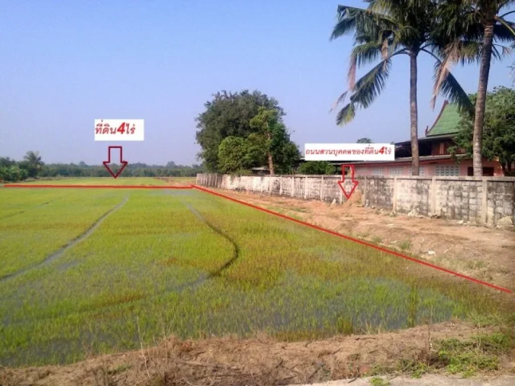 ที่ดิน4ไร่ในหมู่บ้านท่ามะขาม-สามเรือนห่างจากถนนเพชรเกษม25กมขายไร่ละ300000บาท