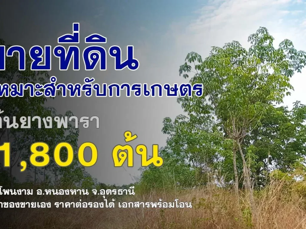 ขายที่ดินพร้อมสวนยาง 21 ไร่ 09 ตรว พร้อมต้นยาง 1800 ต้น