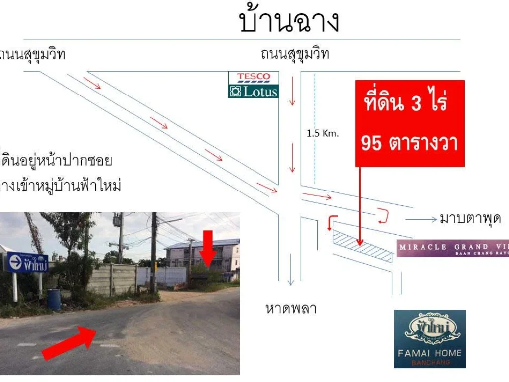 ที่ดินสวย ราคาถูก ใกล้โลตัสบ้านฉาง ขนาด 3 ไร่ 95 ตารางวา