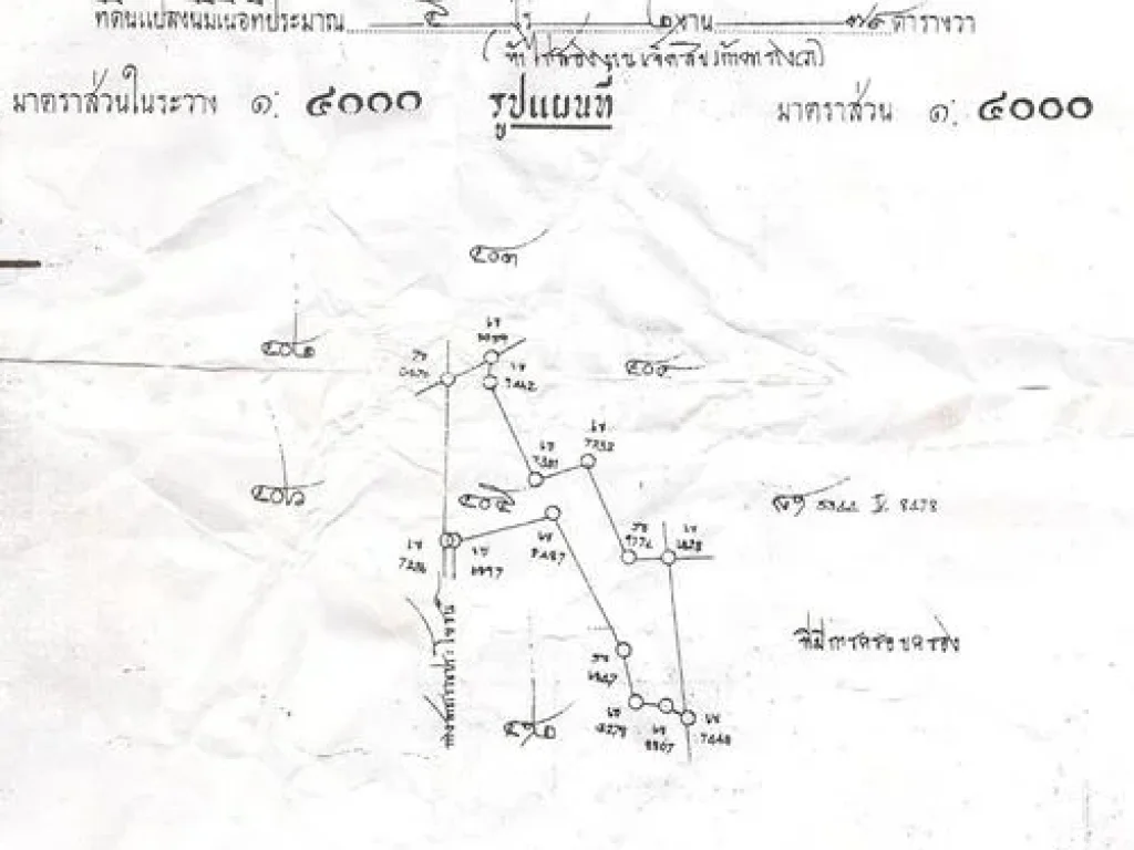 บ้านพร้อมที่ดินเชียงคาน จำนวน 5 ไร่ 2 งาน 79 ตารางวา ขายรวมแปลง 12 ล้านบาท