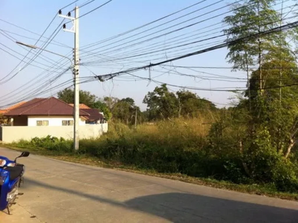 ต้องการขายที่ดินติดถนนหลักในชุมชน อยู่ในชุมชนบ้านดอนแก้ว