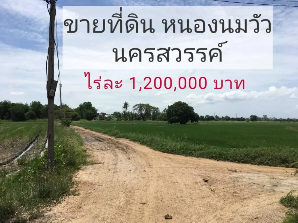 ขายด่วนที่ดิน27-2-68ตรว หนองนมวัว นครสวรรค์ ห่างจากถนนใหญ่50เมตร ราคาไร่ละ12ล้านบาท