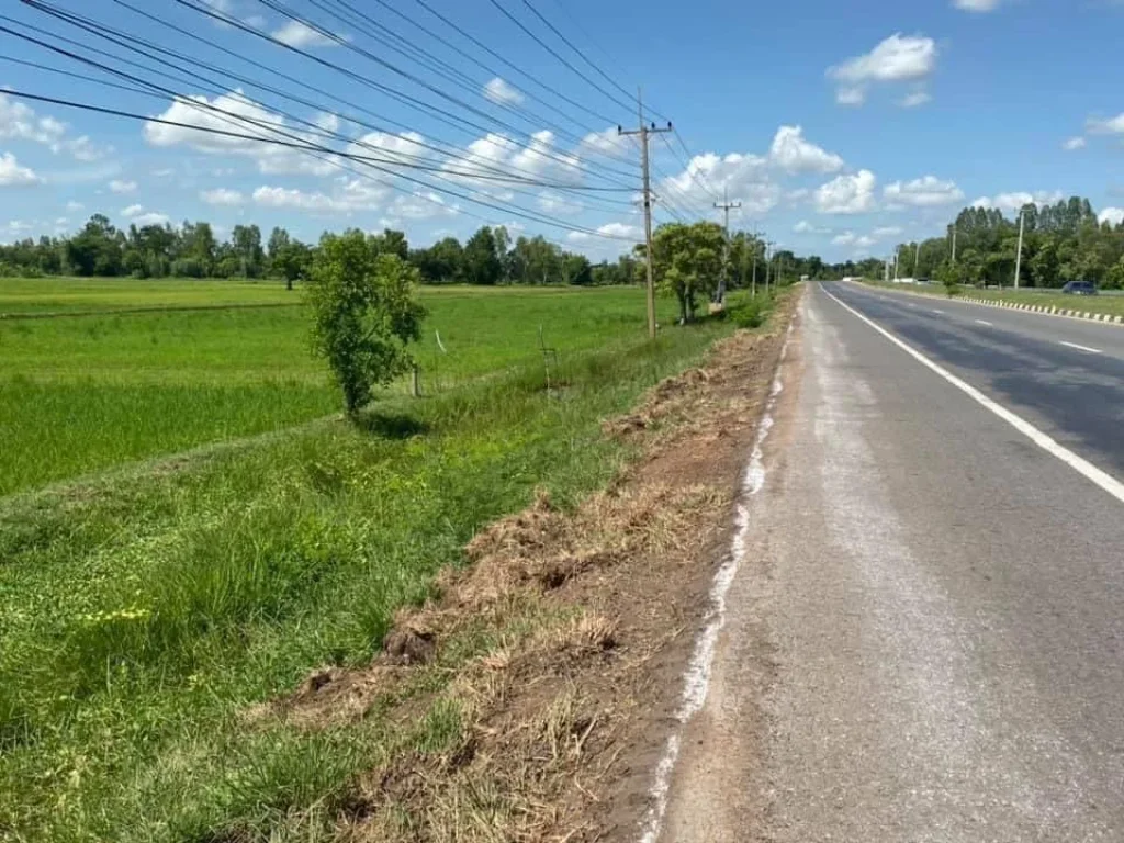 ขายที่ดินทำเลดีติดถนนสี่เลนส์ อำเภอยางตลาด