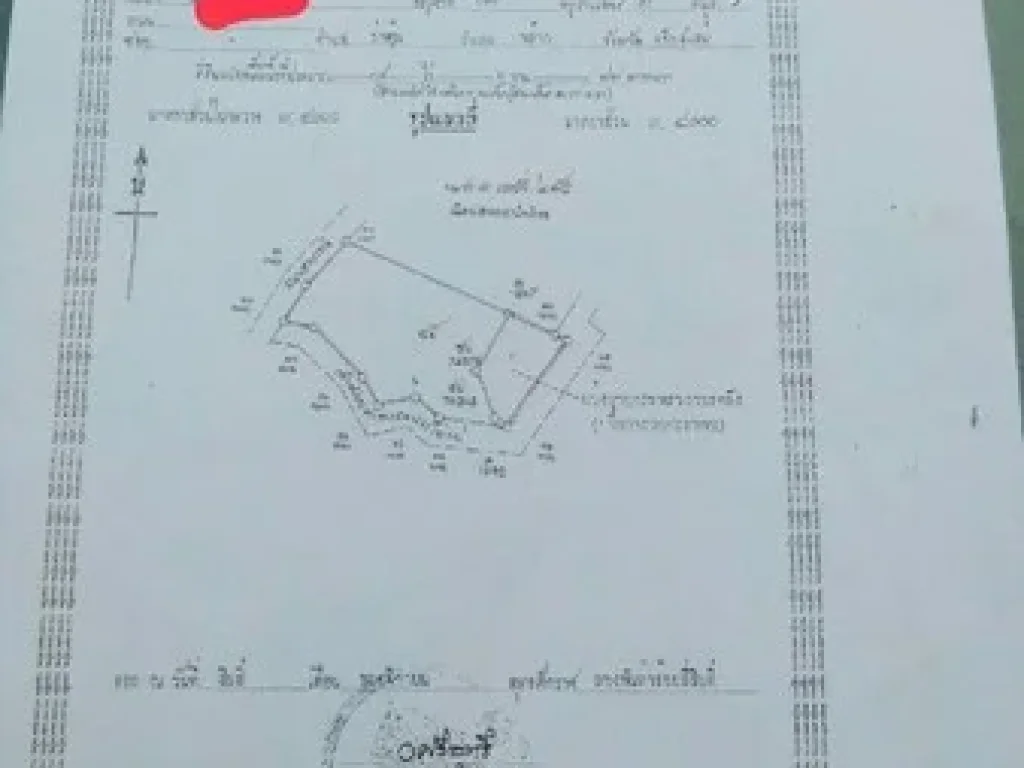 ขายด่วนสวนลำใยมีโฉนด 14 ไร่ 3 งาน 74 ตรวาอพร้าว จเชียงใหม่