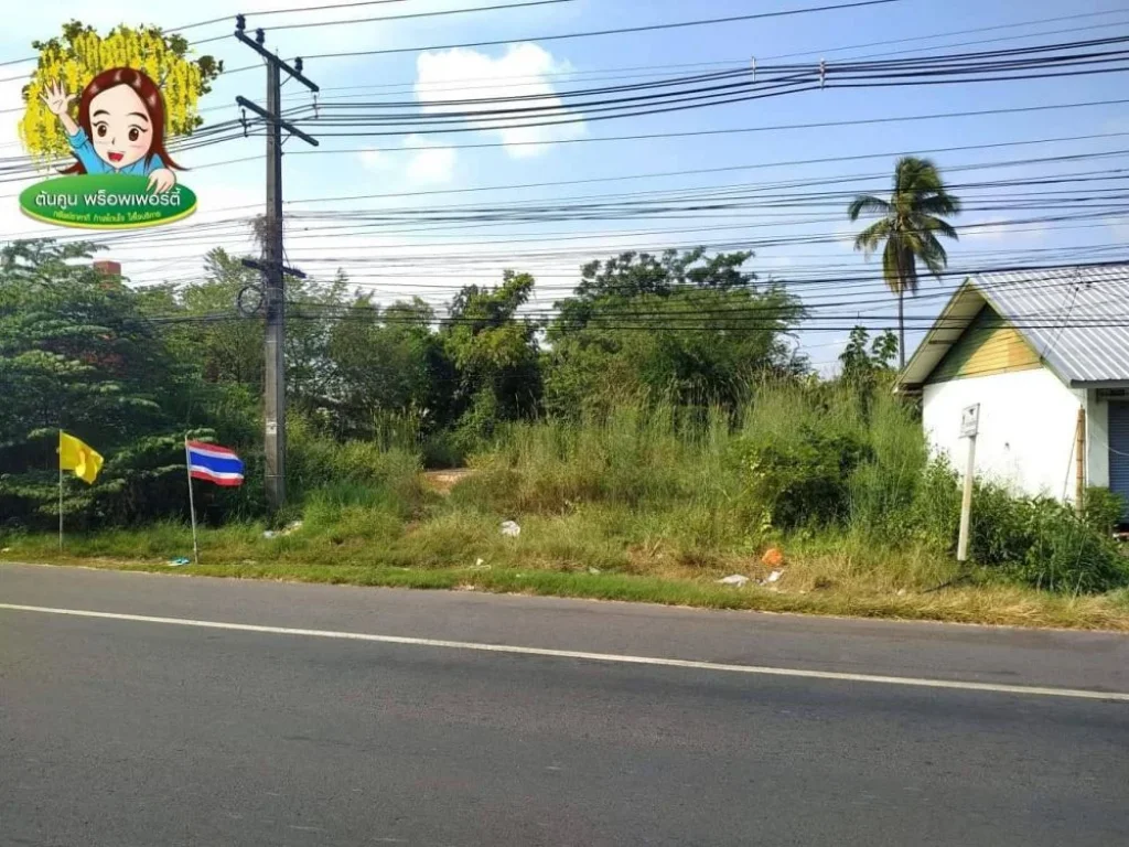 ขายที่ดินติดถนนใหญ่ ใกล้ตลาดเจริญศรี