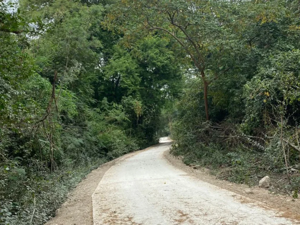 ขายที่ดินวนอุทยานเขานางพันธุรัต พื้นที่ไม่ล้ำกรมป่าไม้ 4 ไร่ 280 ตรว ชะอำ เพชรบุรี