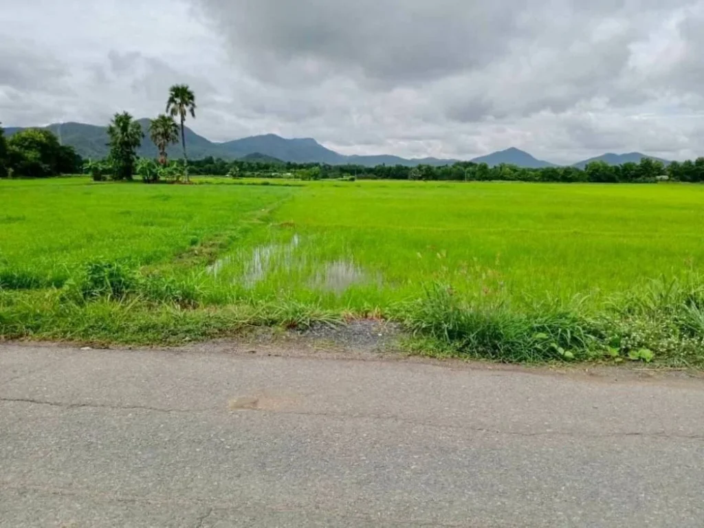 ขายที่นาถมเรียบร้อยติดภูเขา ติดถนนลาดยาง ร้องวัวแดง แม่ออน ราคาถูก