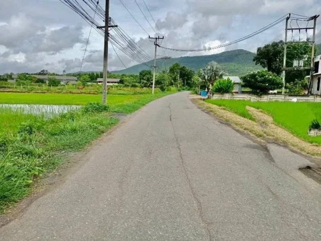 ขายที่นาถมเรียบร้อยติดภูเขา ติดถนนลาดยาง ร้องวัวแดง แม่ออน ราคาถูก