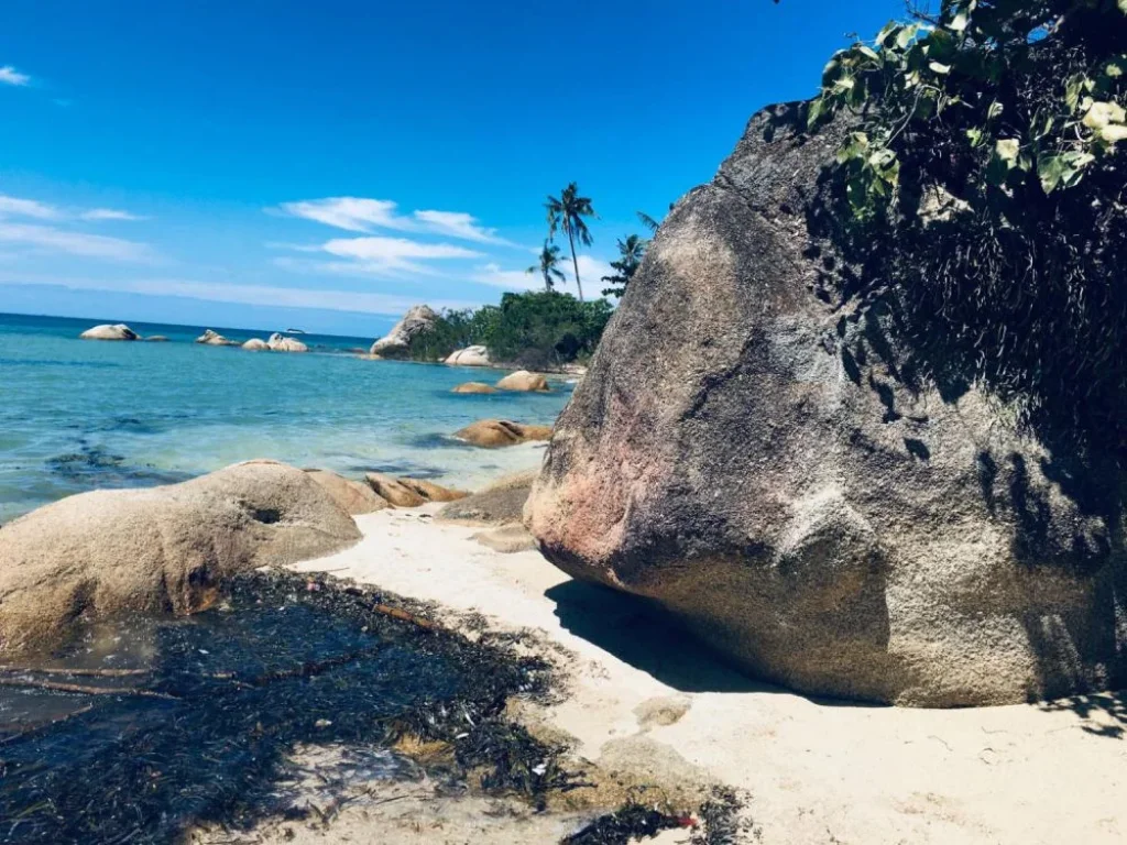 เกาะพะงัน ติดทะเลชายหาดสวยมาก 7ไร่