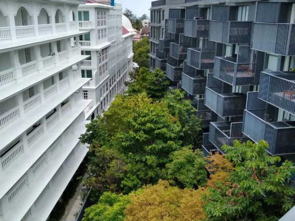 ขายคอนโดThe Deck condo patong 6628 ตรม