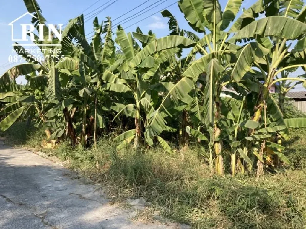 ที่ดินเปล่า เมืองปทุมธานี ใกล้แยกบางคูวัด ราคาหลักแสน