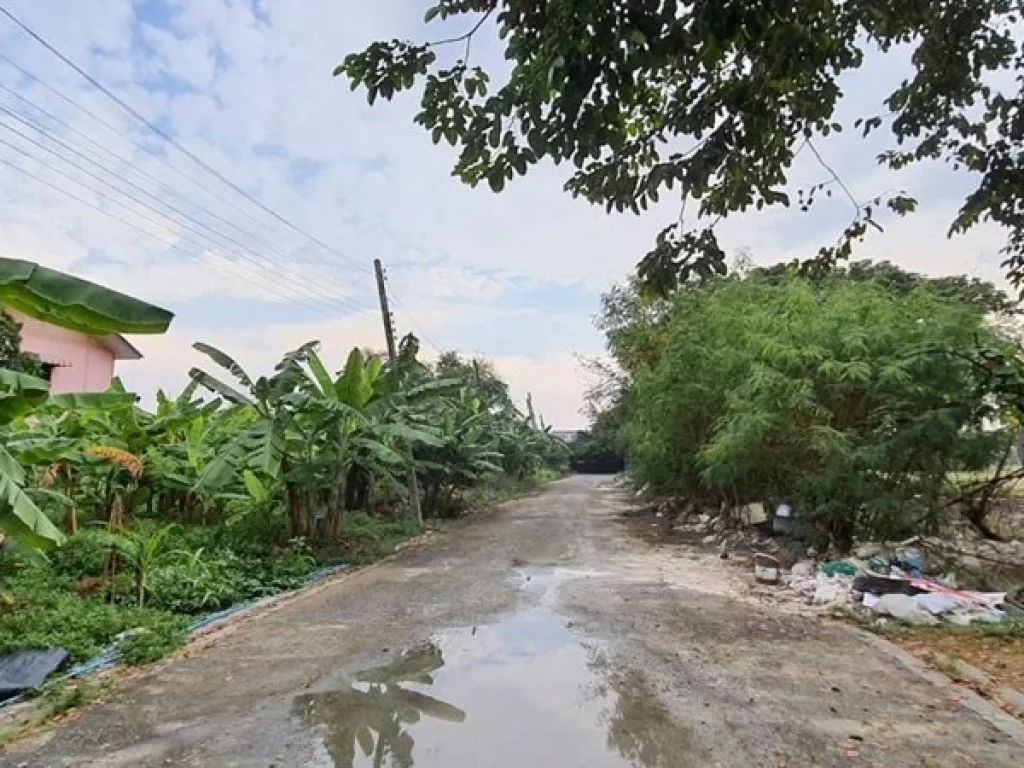 ที่ดินเปล่า เมืองปทุมธานี ใกล้แยกบางคูวัด ราคาหลักแสน