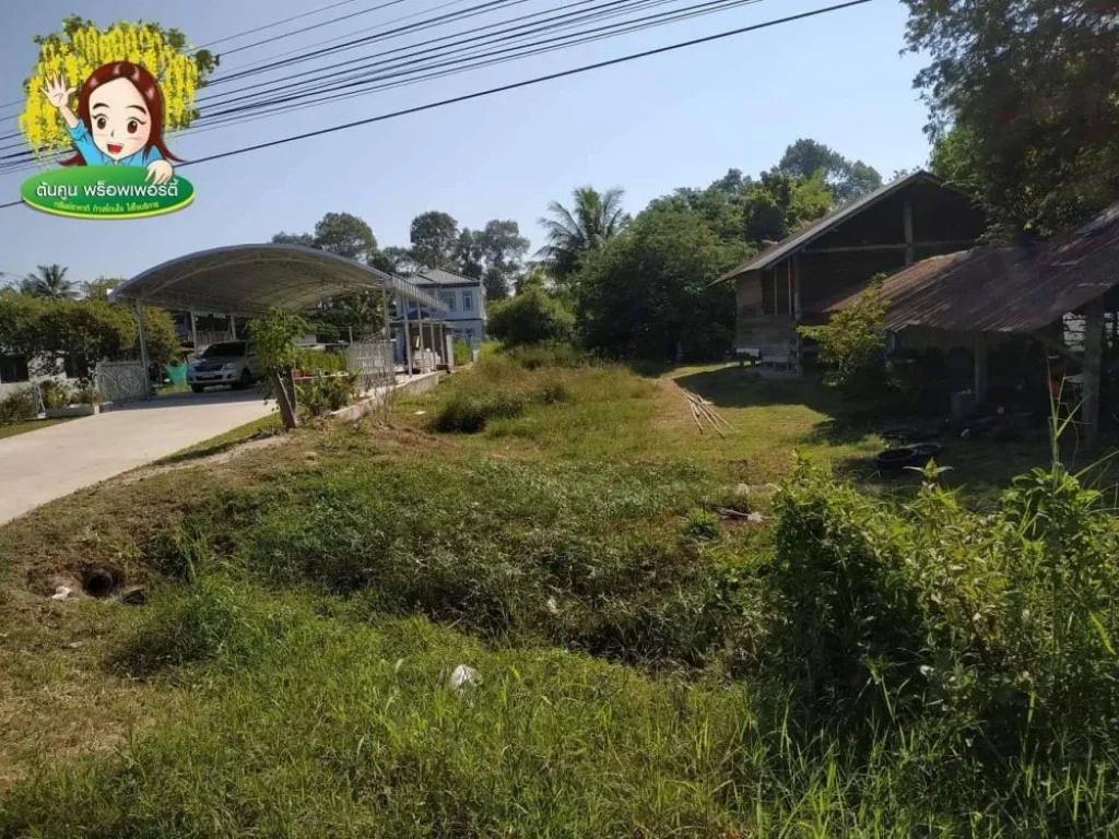 ขายที่ดิน ติดถนนอุบล-ตระการ ฝั่งขาเข้า ตรงข้าม อบตไร่น้อย