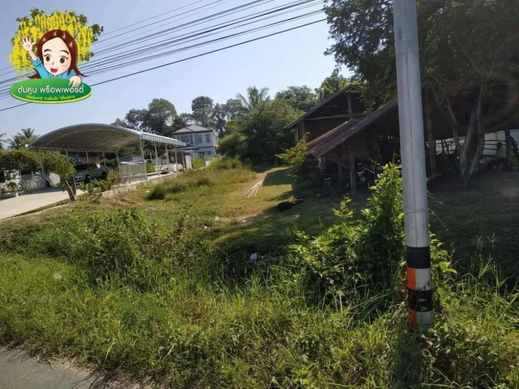 ขายที่ดิน ติดถนนอุบล-ตระการ ฝั่งขาเข้า ตรงข้าม อบตไร่น้อย