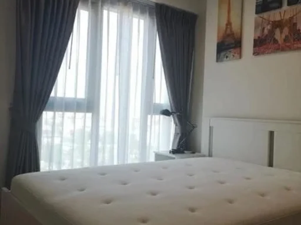 For rent 16000 condo Whizdom Connect Sukhumvit BTS Punnawithi