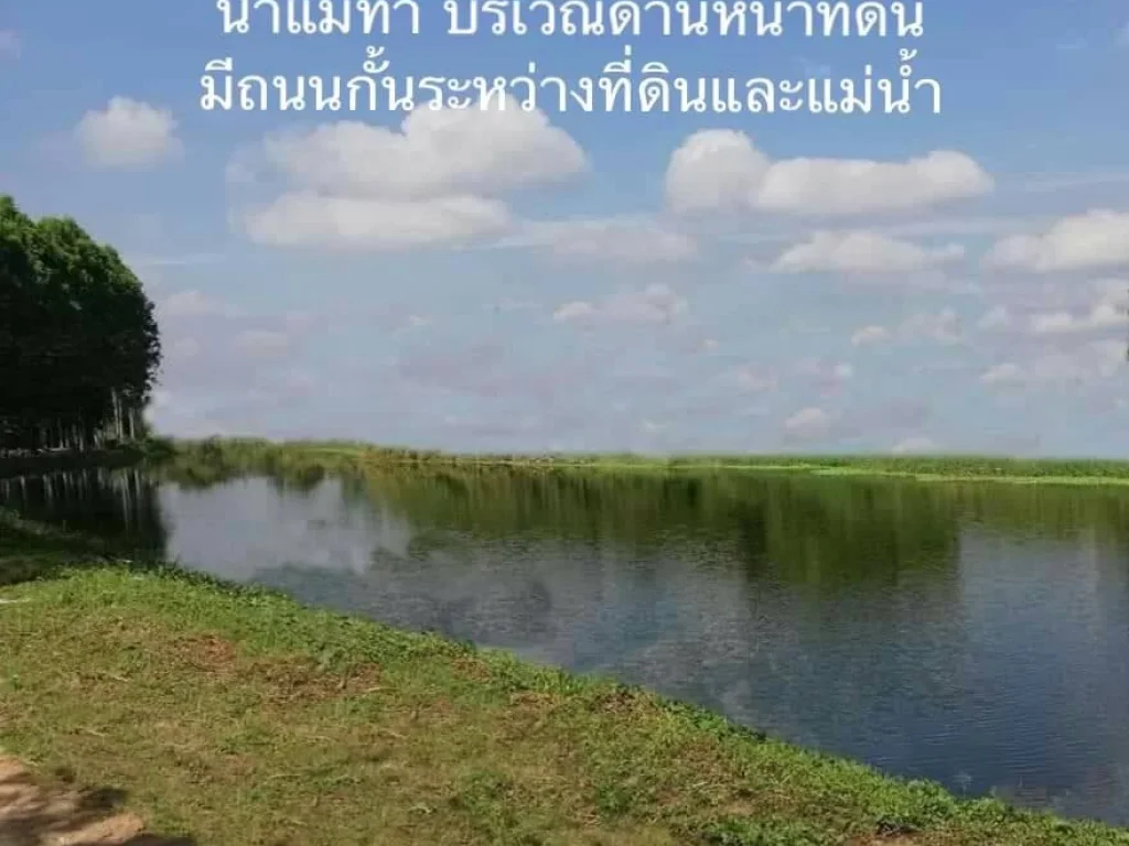 ขายที่ดินวิวทุ่งนา ภูเขา ติดถนนเลียบน้ำแม่ทา อแม่ทา จลำพูน