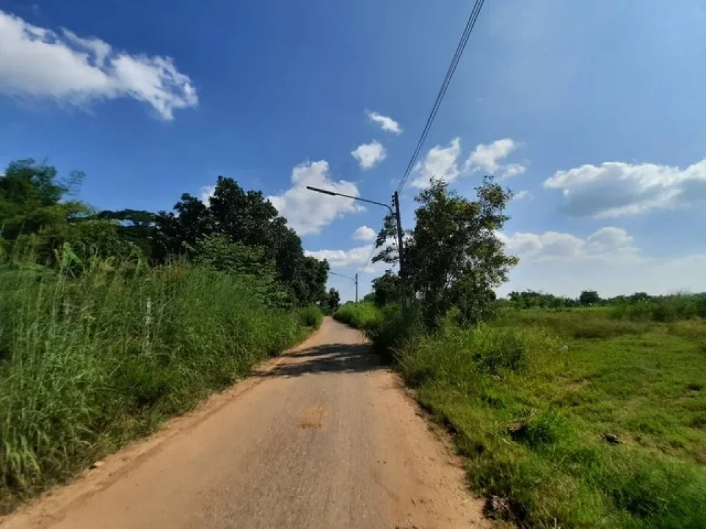 ที่ดินแบ่งขาย 100 ตรว ติดถลาดยางใกล้แยกพนมสารคาม 10 กม อราชสาสน์ จฉะเชิงเทรา