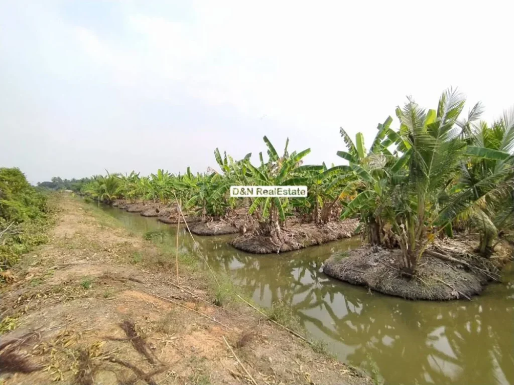 ขาย ที่ดิน 15 ไร่ ร่องสวน บ้านแพ้ว สมุทรสาคร ใกล้วัดหลักสอง ติดคลอง ติดถนนสาธารณะ