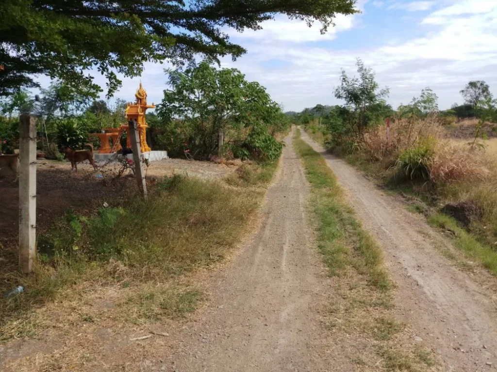 บ้านพร้อมที่ดิน 200 ตรว หัวปลวก สระบุรี ราคาถูก