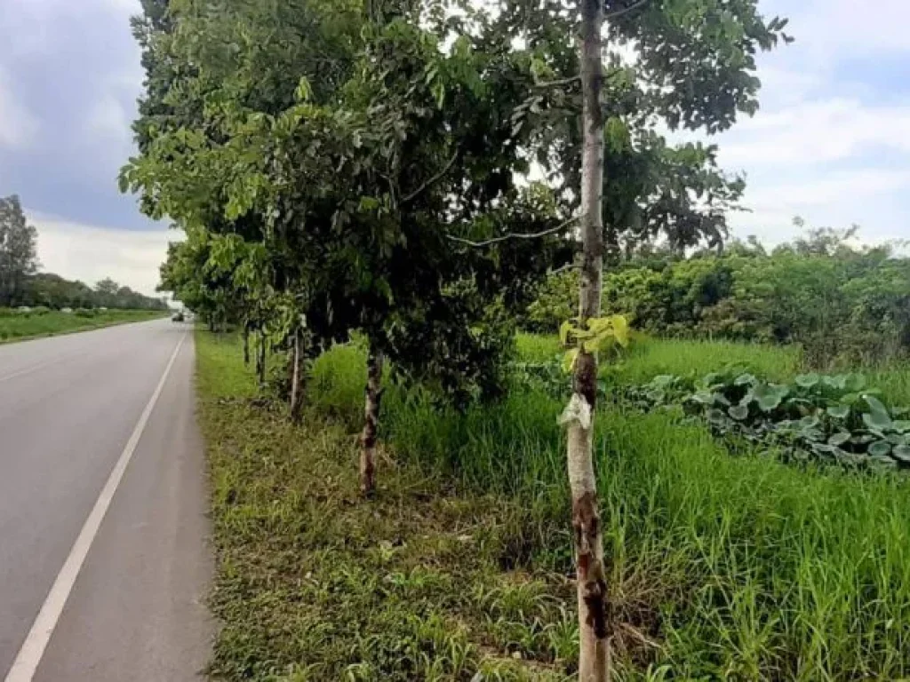 ขายที่ดินติดถนนเลียบรถไฟสารภี จัดสรรได้ ผังเมืองสีเหลือง