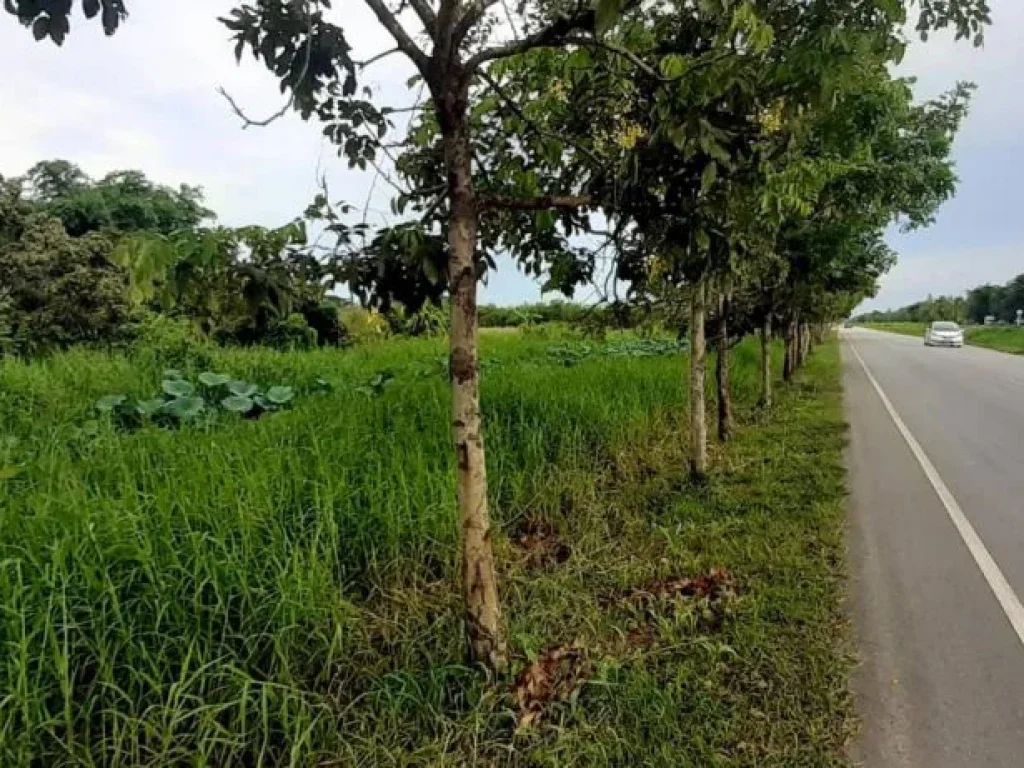 ขายที่ดินติดถนนเลียบรถไฟสารภี จัดสรรได้ ผังเมืองสีเหลือง