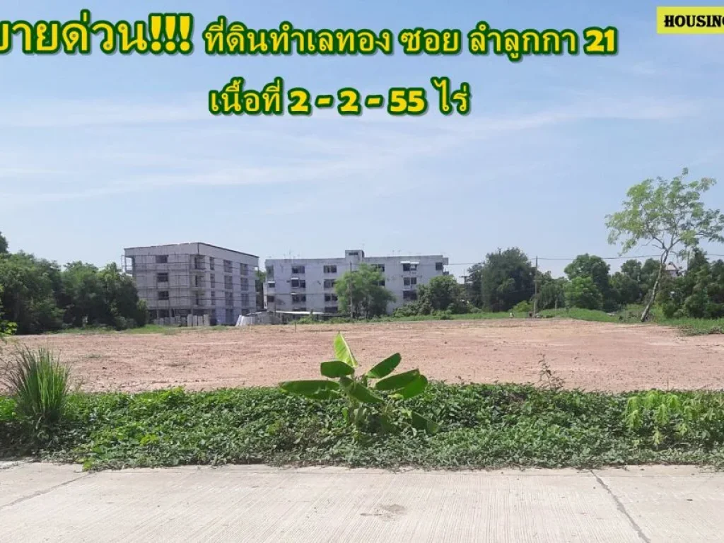 ขายที่ดินลำลูกกาซอย 21 แนวรถไฟฟ้า