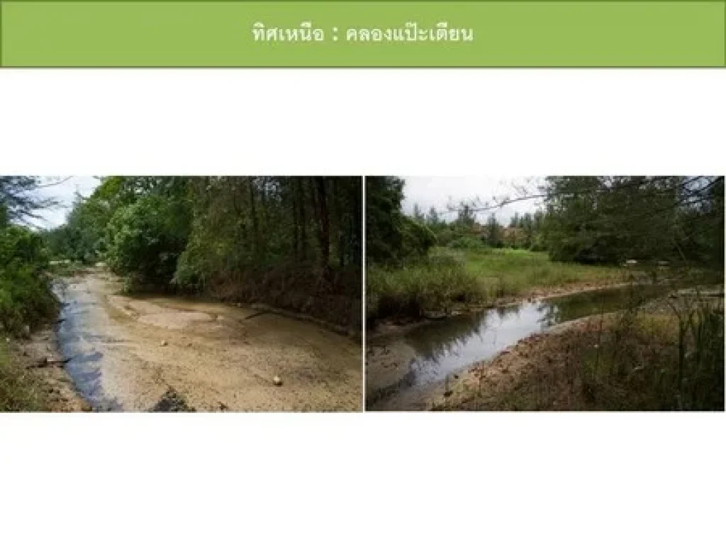 ขายที่ดินเปล่า ติดหาดบางสัก ตะกั่วป่า - พังงา เนื้อที่ 36 ไร่ 3 งาน 69 ตารางวา