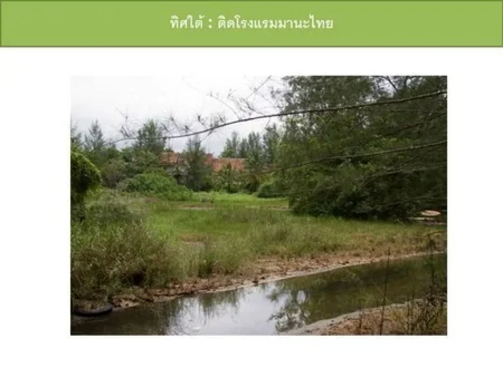 ขายที่ดินเปล่า ติดหาดบางสัก ตะกั่วป่า - พังงา เนื้อที่ 36 ไร่ 3 งาน 69 ตารางวา