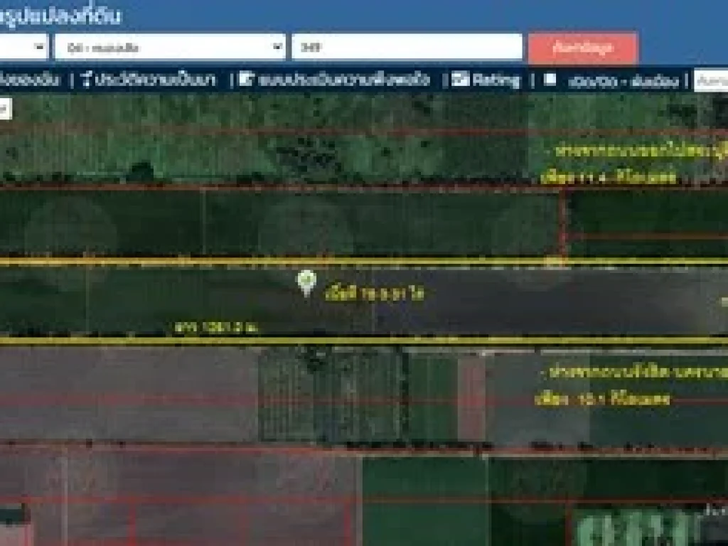 ขายที่ดินติดถนนเรียบ คลอง 11 หนองเสือ 78ไร่ เหมาะจัดสรรที่ดิน โครงการบ้าน ทำฟาร์มแนวร้านกาแฟ