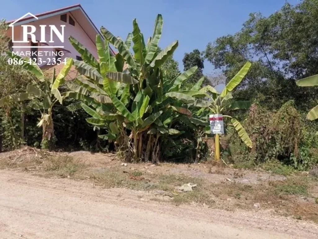 ขายที่ดิน 377 ตรว อ คลองหลวง ต คลองสี่ จ ปทุมธานี ซอย คลองสี่ตะวันตก 22 ถนนหน้าที่ดินกว้าง 4 เมตร รถสวนกันได้