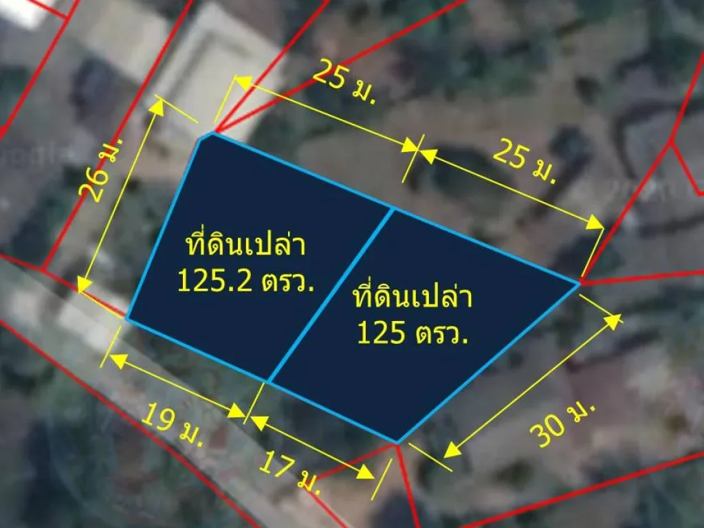 ขายที่ดินเปล่า 250 ตรว ตสันกำแพง อสันกำแพง