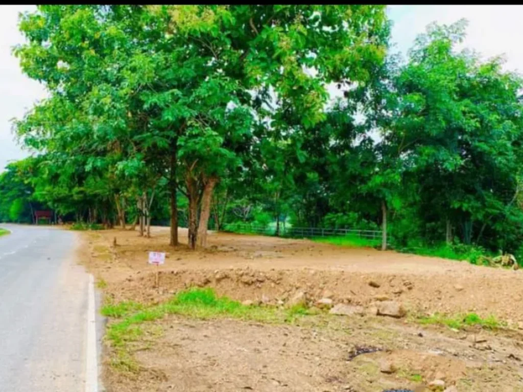 ขายที่ดินติดถนนหลังติดแม่น้ำ ป่าซางลำพูน