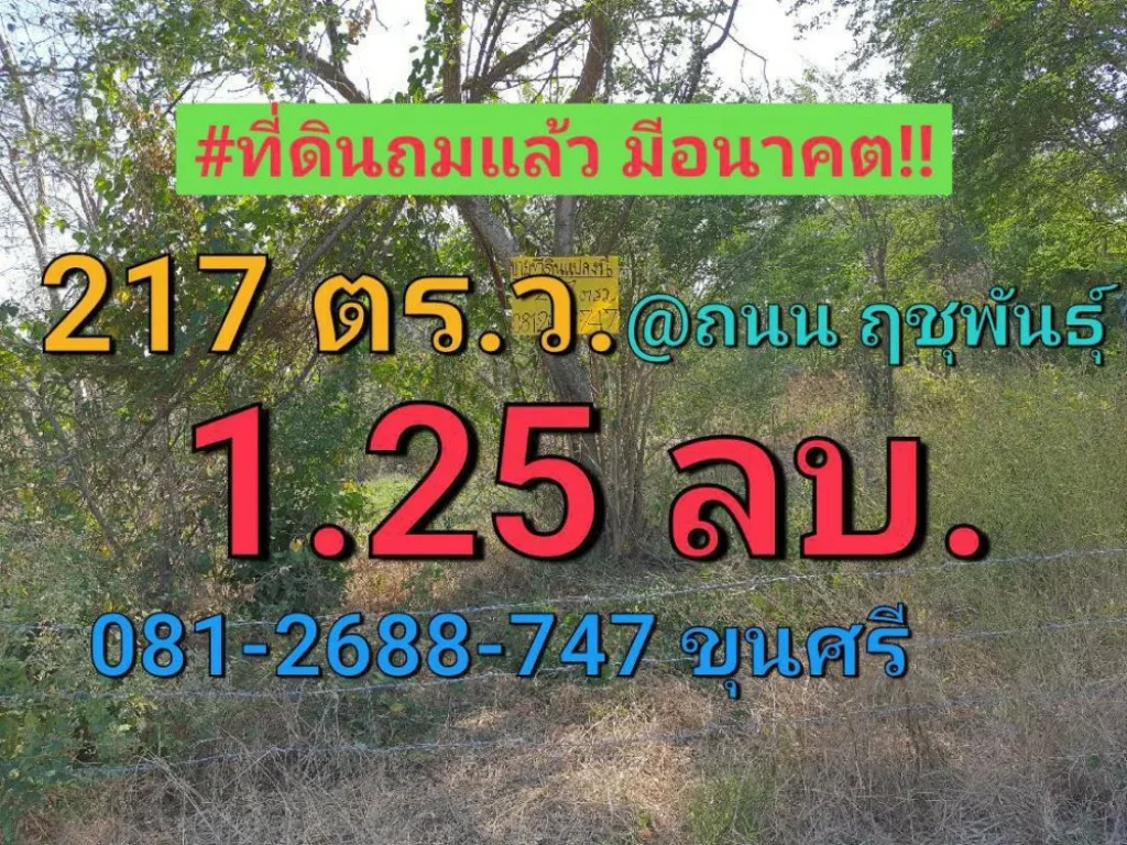 ขายที่ดินราคาถูก 217 ตารางวา ถมและล้อมรั้วลวดหนามไว้แล้ว ถนนฤชุพันธุ์ อำเถอไทรน้อย นนทบุรี