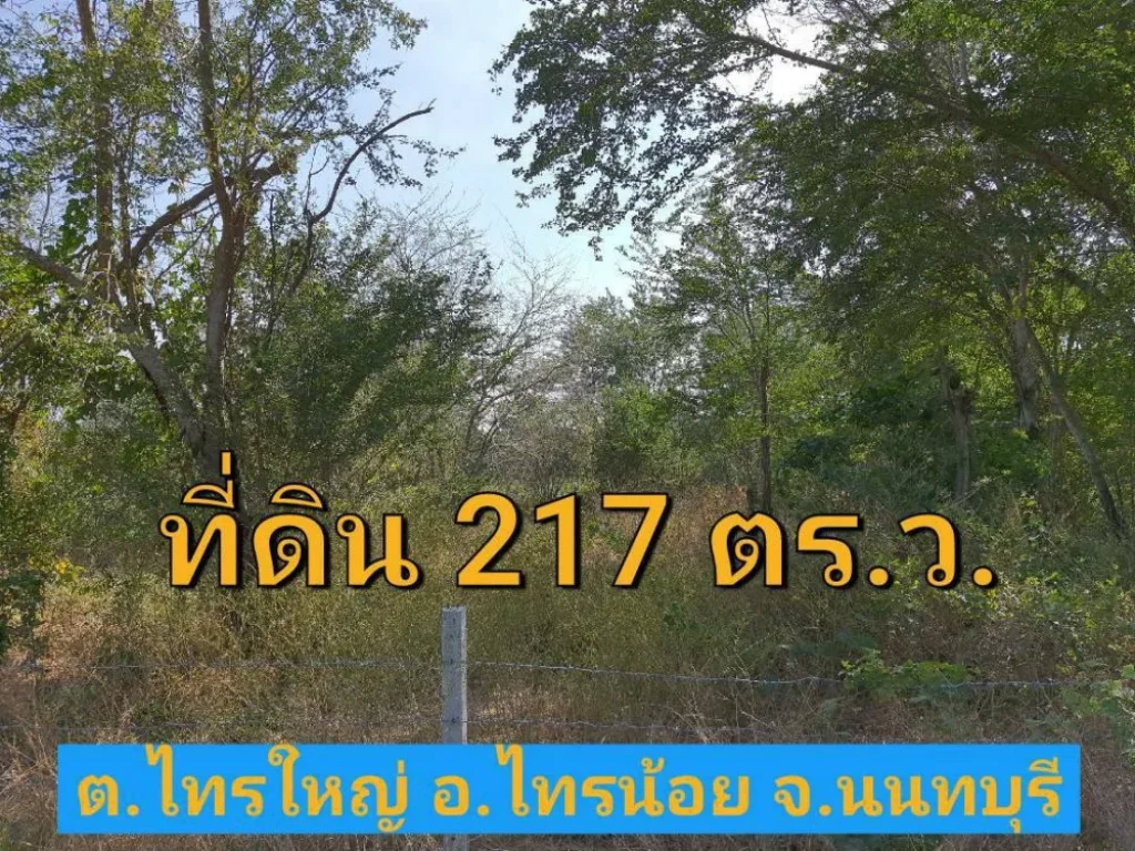 ขายที่ดินราคาถูก 217 ตารางวา ถมและล้อมรั้วลวดหนามไว้แล้ว ถนนฤชุพันธุ์ อำเถอไทรน้อย นนทบุรี