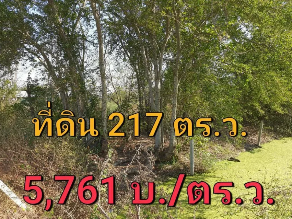 ขายที่ดินราคาถูก 217 ตารางวา ถมและล้อมรั้วลวดหนามไว้แล้ว ถนนฤชุพันธุ์ อำเถอไทรน้อย นนทบุรี