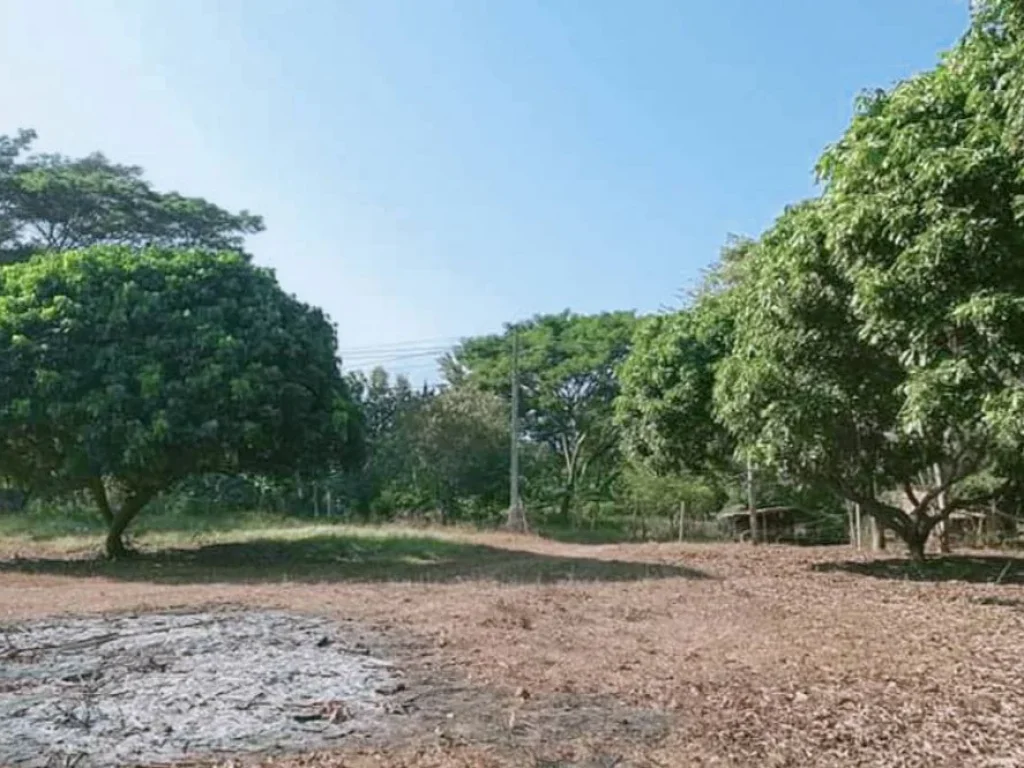 ขายทีี่ดินติดน้ำ เชียงดาว ห่างถนนหลักเพียง 800 เมตร ราคาถูก