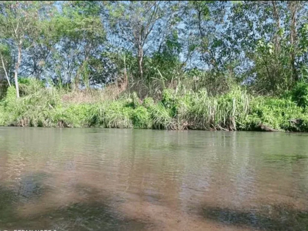 ขายทีี่ดินติดน้ำ เชียงดาว ห่างถนนหลักเพียง 800 เมตร ราคาถูก