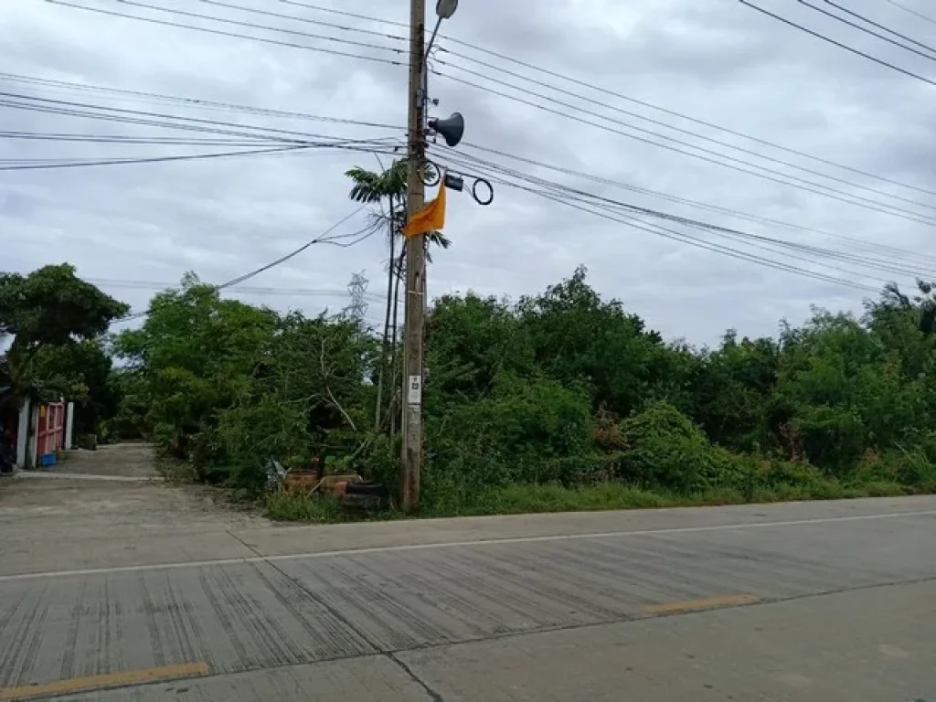 ขายที่ดิน ติดถนน ใกล้ อบตบางใหญ่ นนทบุรี 1-2-16 ไร่ น้ำ-ไฟ เข้าถึงแล้ว