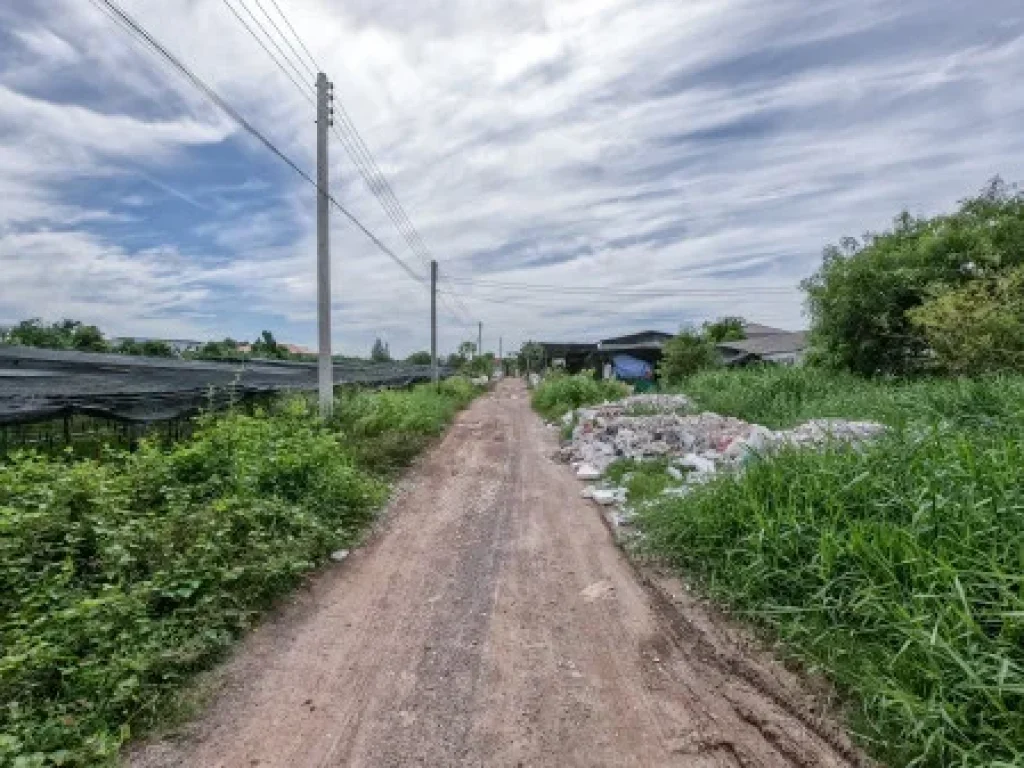 ขาย บ้านเดี่ยว เนื้อที่เยอะ ทวีวัฒนา 160 ตรม 400 ตรวา ปลูกสร้างเอง