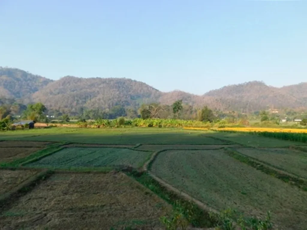 ที่ดินโฉนดวิวภูเขา360องศาราคาพิเศษอยู่ในเขตเทศบาลตำบลสะเมิงใต้