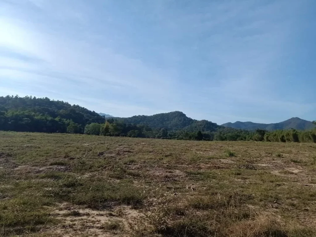 ขายที่ดินติดน้ำ ติดเขา สันป่าตอง น้ำบ่อหลวง ราคาถูก